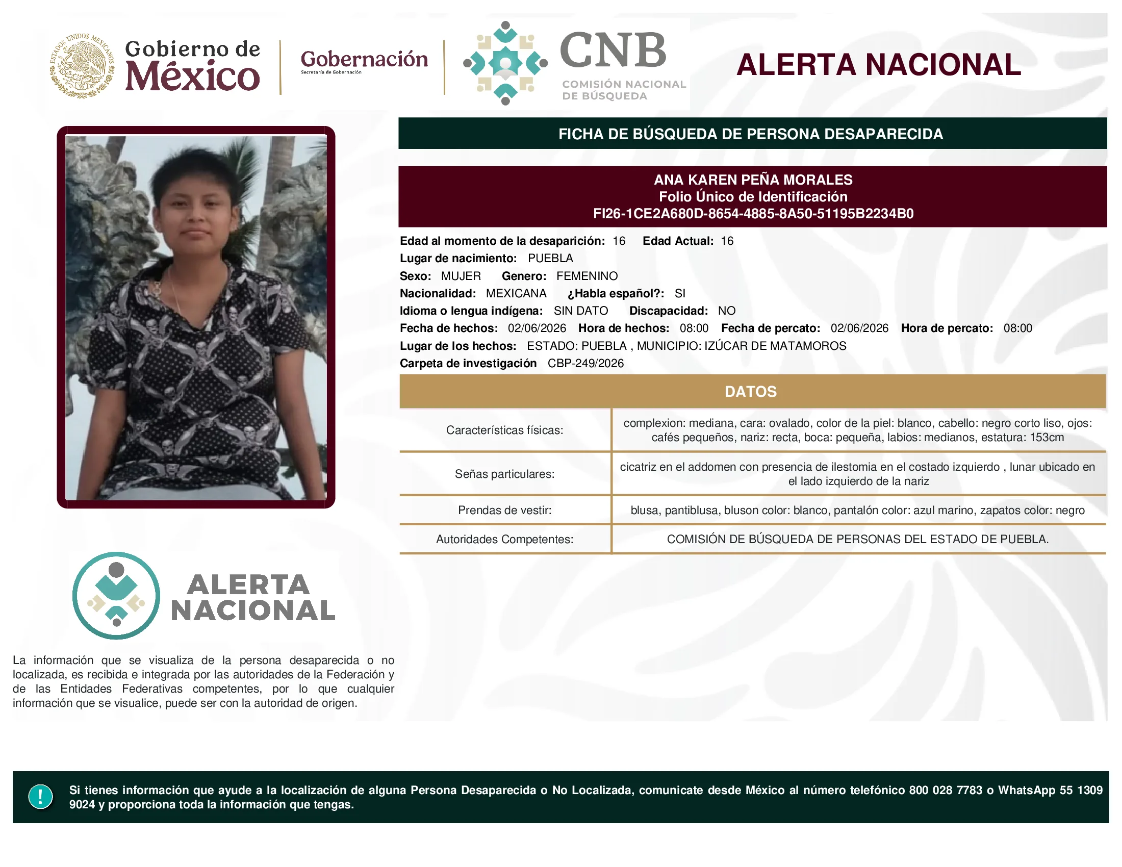 Ana Karen Peña Morales