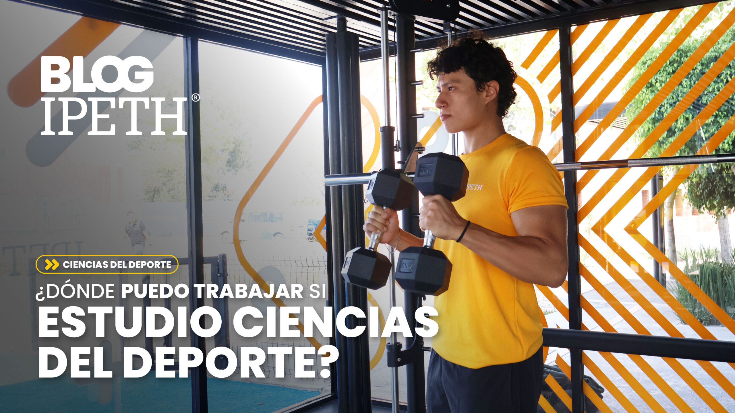 donde puedo trabajar si estudio ciencias del deporte ipeth portada