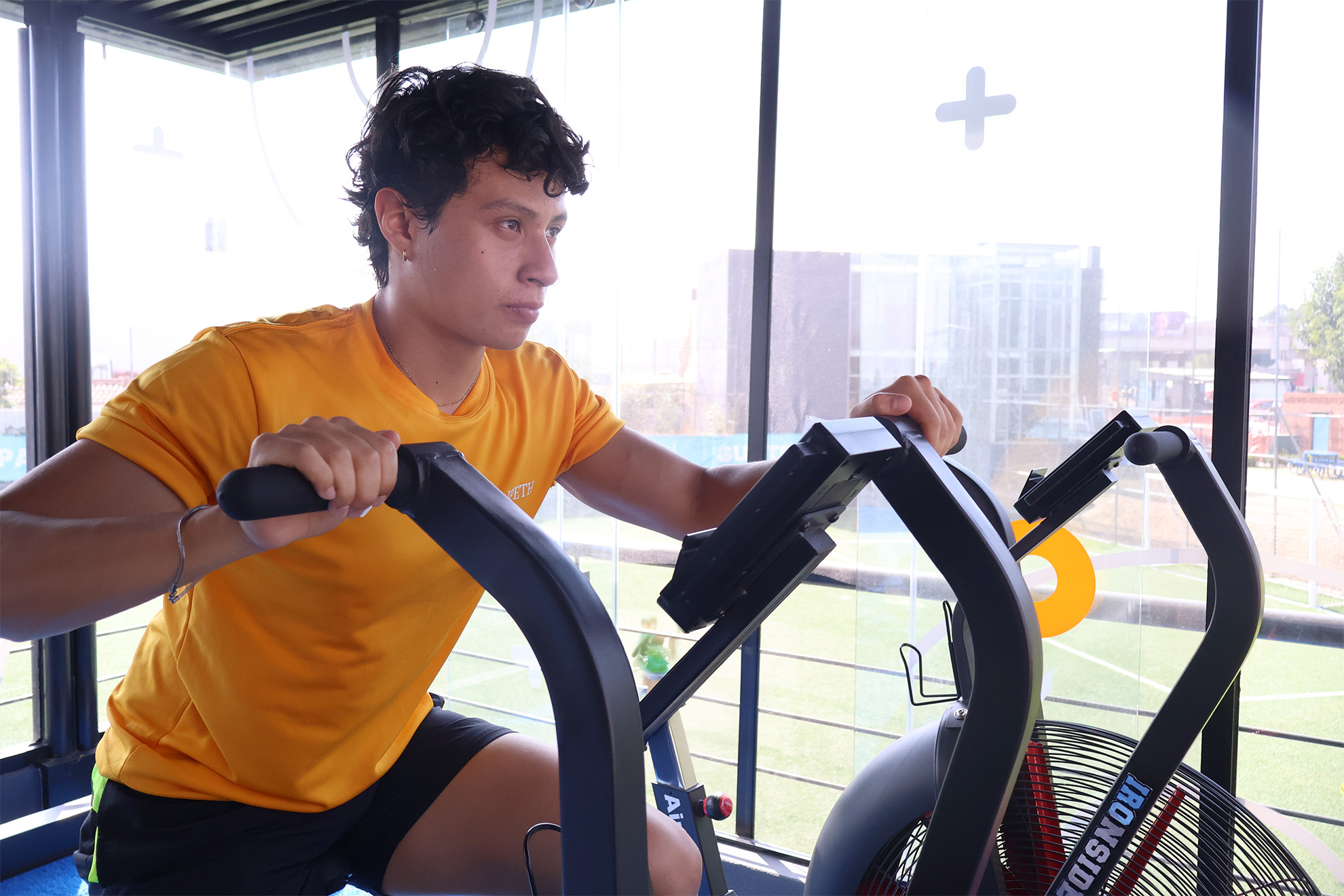 donde trabajar ciencias del deporte chico entrenando en gimnasio