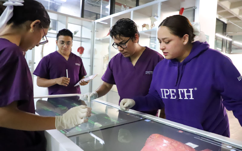 alumnos enfermeria ipeth usando mesa anatomage con uniforme