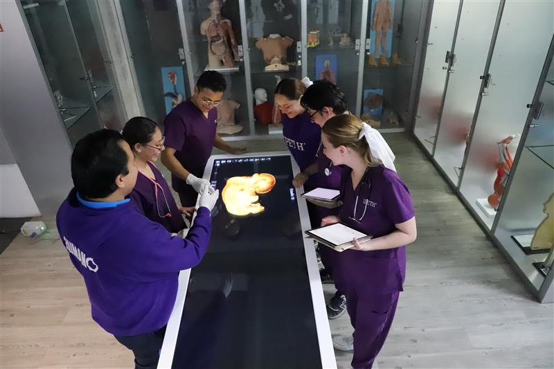 alumnos estudiar enfermeria en ipeth anatomage mesa 3d cuerpo humano