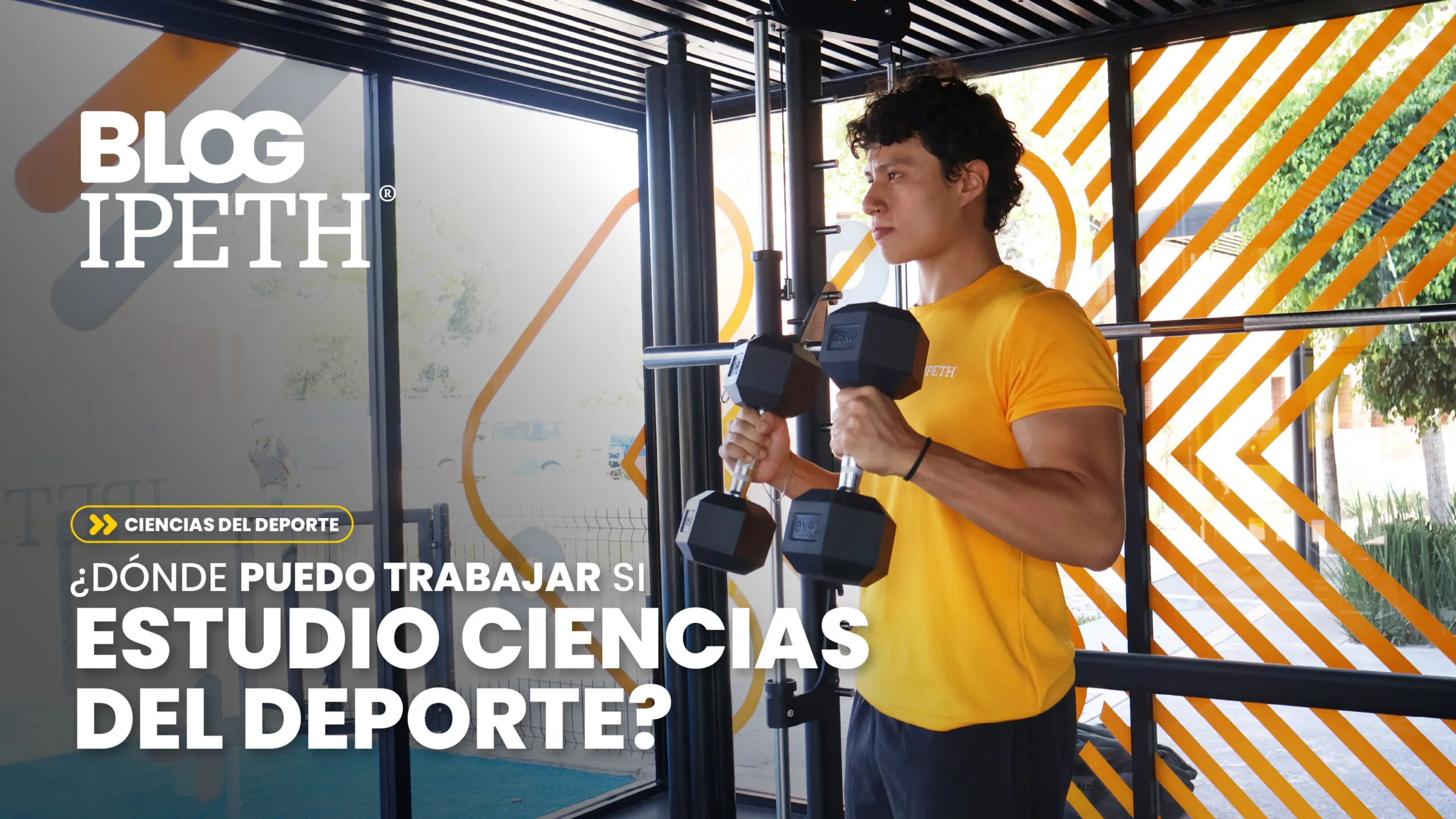 donde puedo trabajar si estudio ciencias del deporte ipeth portada