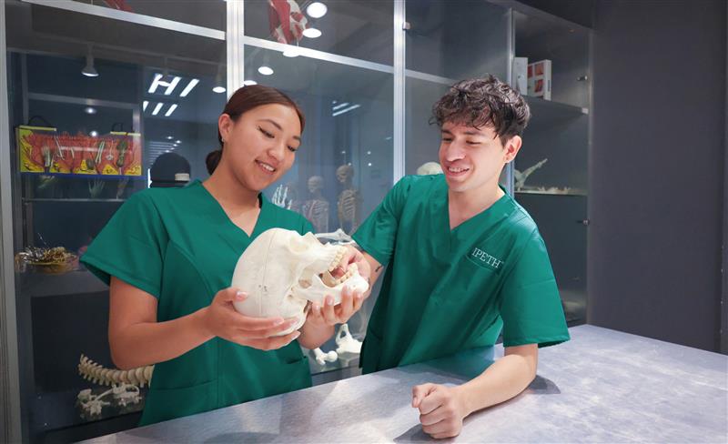 estudiantes mujer y hombre carrera de odontologia ipeth laboratorios especializados modelo de una mandibula