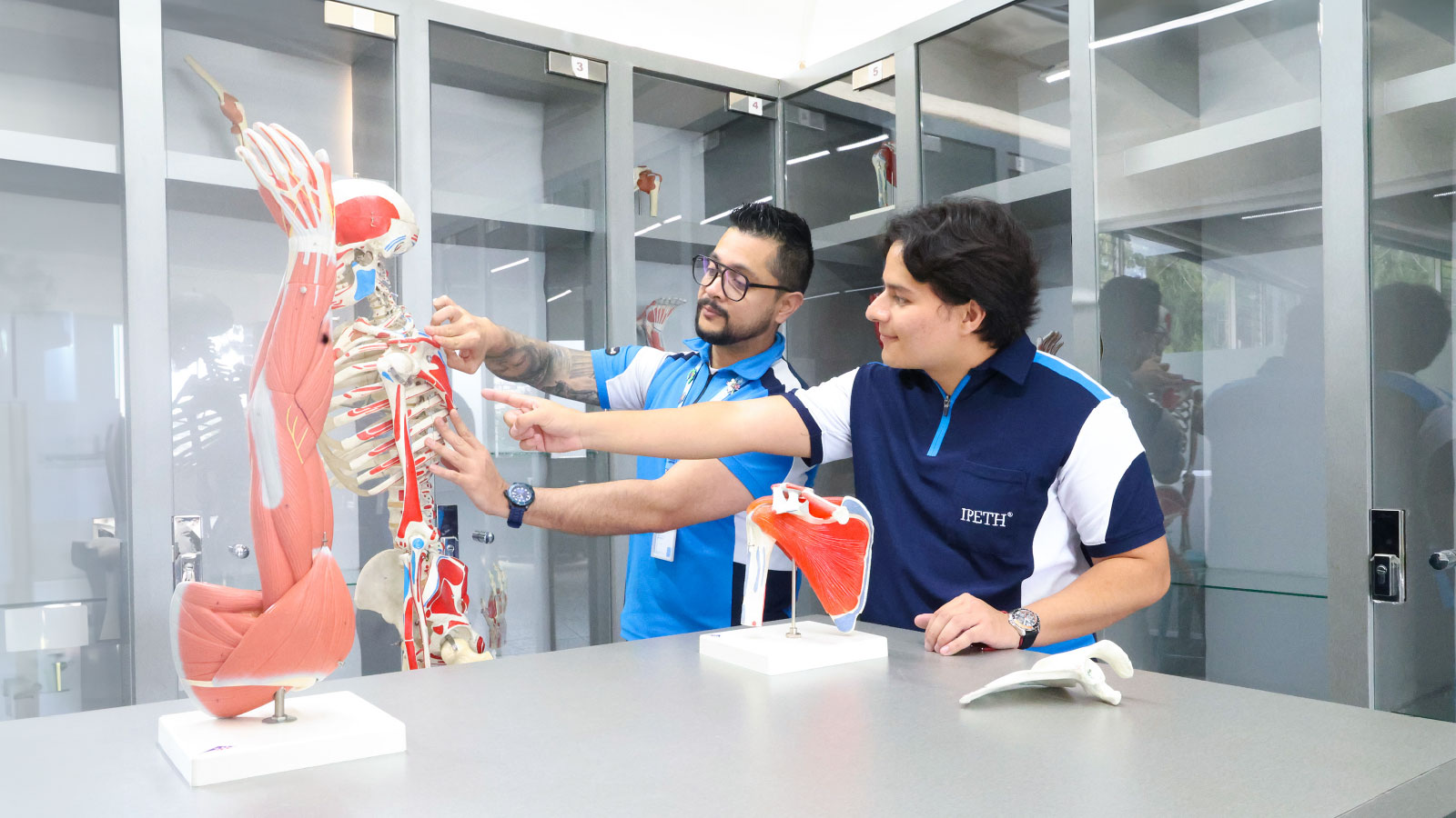 alumno y docente ipeth universidad especializada en salud en laboratorio de modelos anatomicos