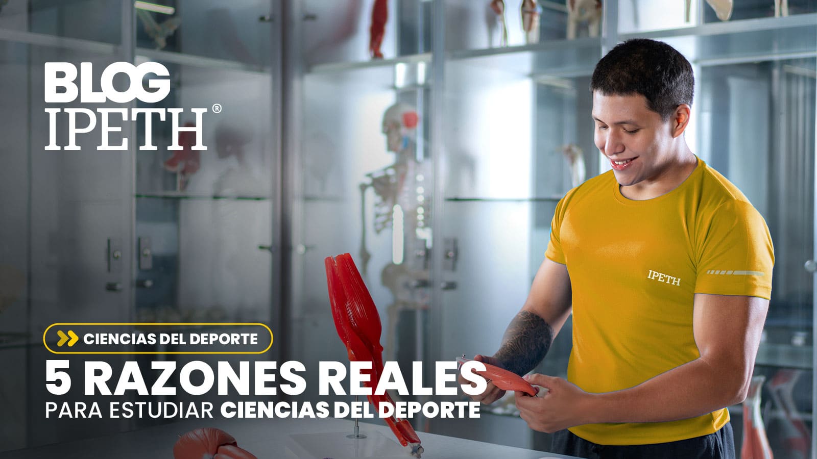 portada 5 razones para estudiar ciencias del deporte en ipeth universidad especializada en salud