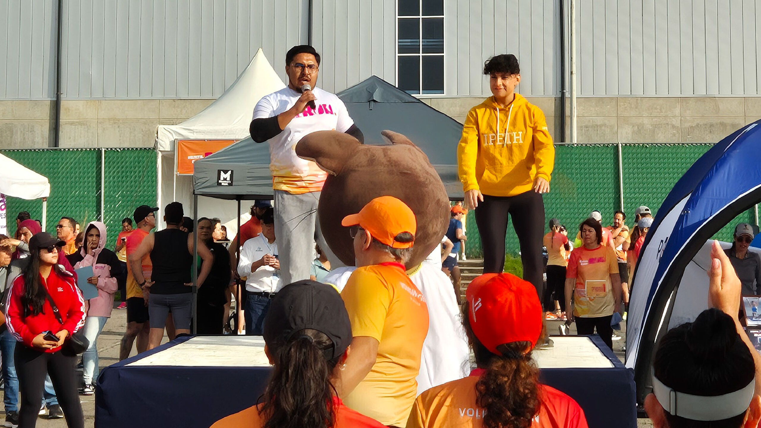 eventos licenciatura ciencias del deporte ipeth rutinas de gym