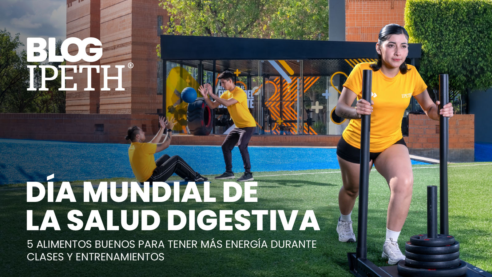 portada dia salud digestiva alimentos buenos entrenar ipeth universidad especializada en salud